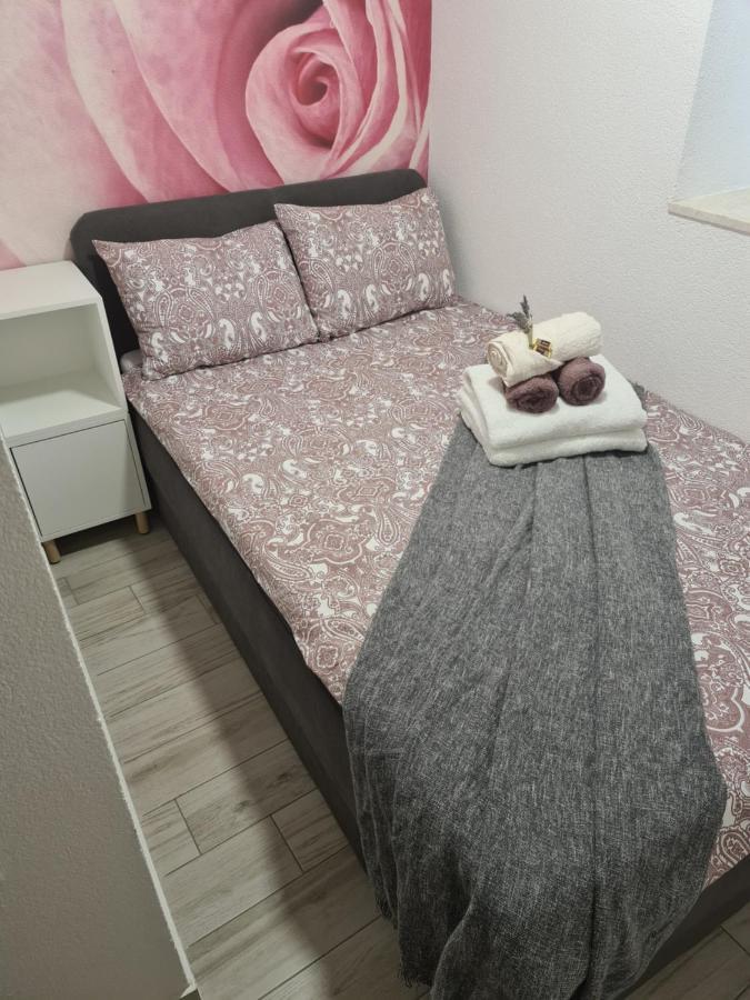 Rose1 *